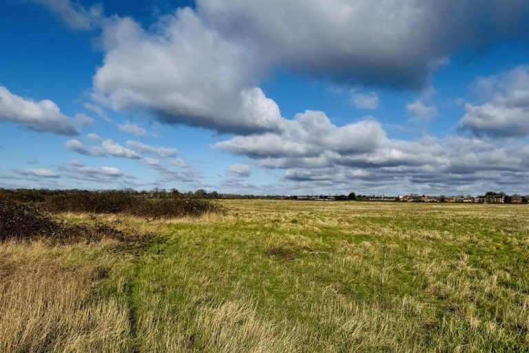 Expansive open field with tall grass under a partly cloudy sky, with distant houses on the horizon.